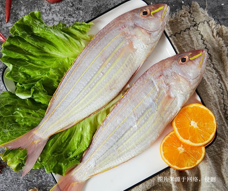 上海進(jìn)口越南金線魚報關(guān)流程到上海外高橋海運案例